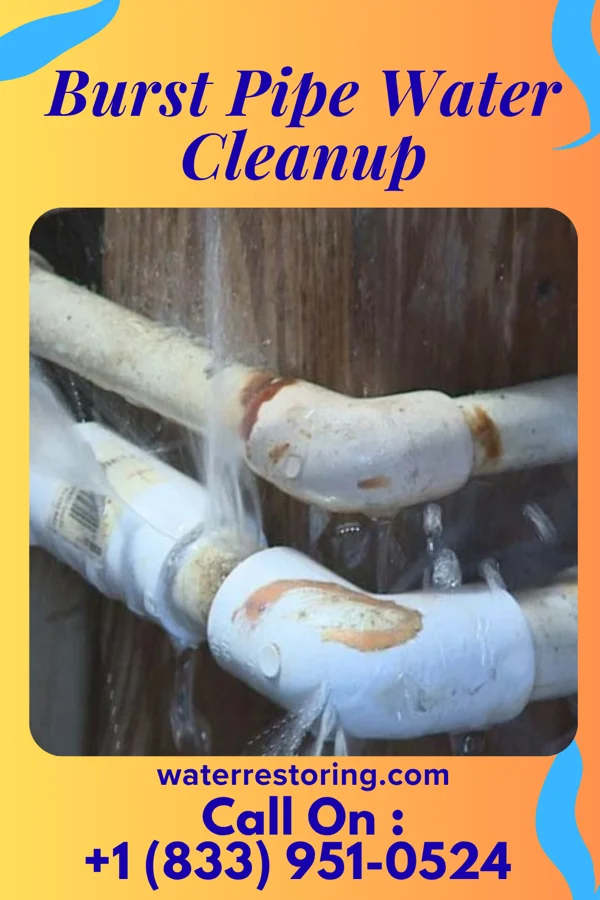 Burst Pipe Water Cleanup in Belvedere, CA
