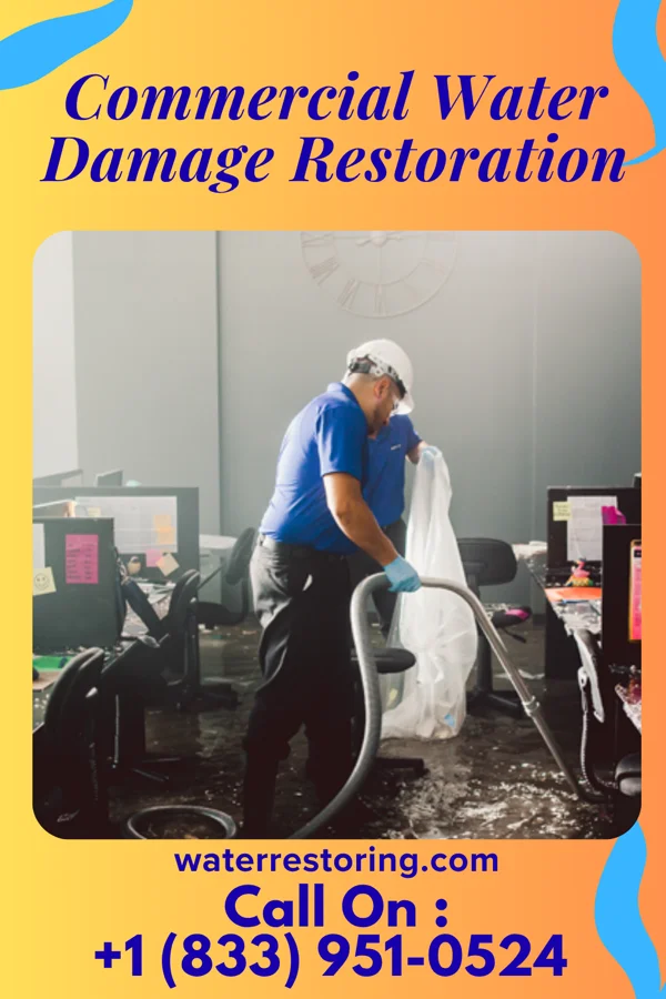 Commercial Water Damage Restoration in Belvedere, CA